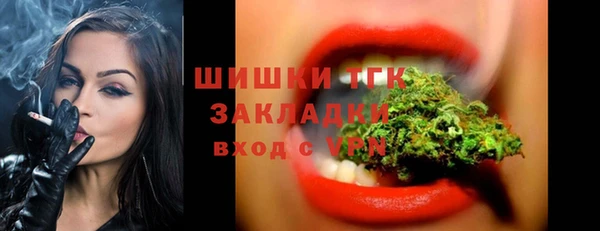 твердый Арсеньев